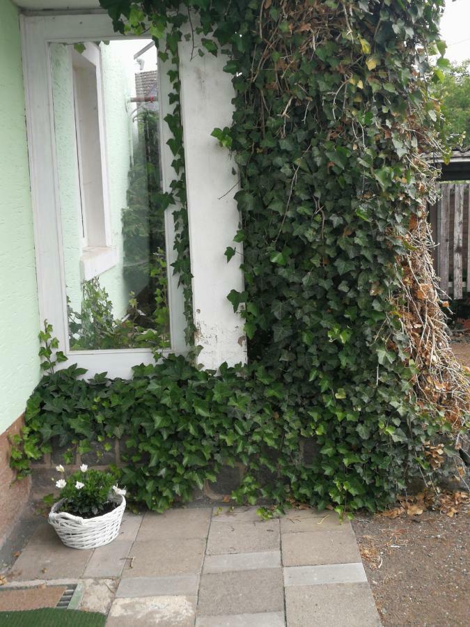 Appartement Eifel Im Haus Sybille Kelberg Exterior foto